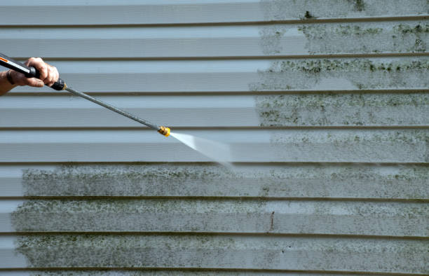 Best Sidewalk and Walkway Cleaning  in Brice Prairie, WI